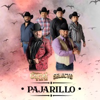 Pajarillo - Single - La Mosca Y Su Cartél De Nuevo León & Selecto