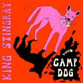 Camp Dog - King Stingray