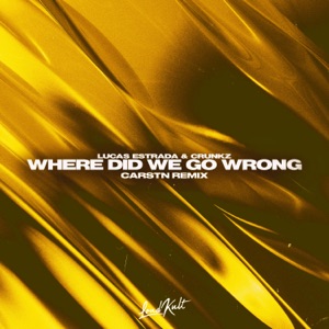 Where Did We Go Wrong (feat. Crunkz) [CARSTN Remix]