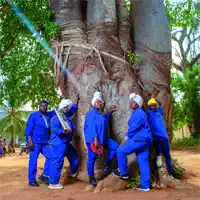 Tite — Nana Benz du Togo