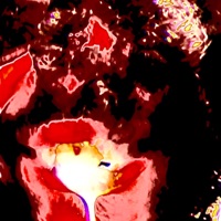 B.S.B.S - Single - ZZZ-R0