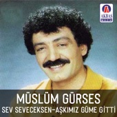 Sev Seveceksen - Aşkımız Güme Gitti artwork