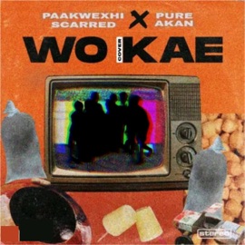 Wo Kae (feat. Pure Akan) Paakwexhi Scarred