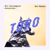 Toro (DJ Nano Remix) artwork