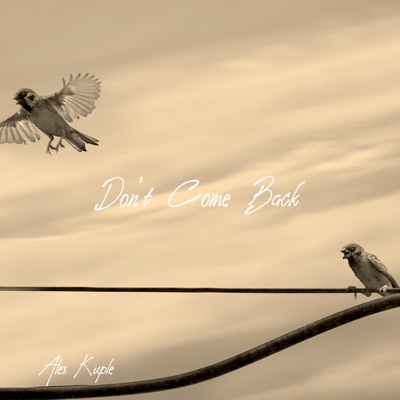 Don't Come Back - Single