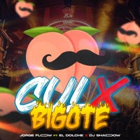 Culx Bigote (feat. José Dolche) - Single - Dj Jorge Flow