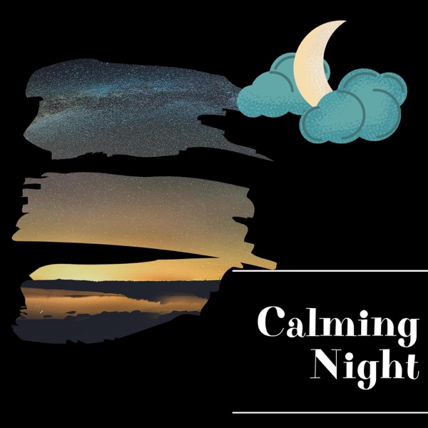 Calming Night Noises for Stress Relief