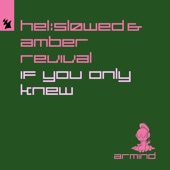 If You Only Knew (Extended Mix) artwork