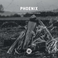 Phoenix (DJ Mix) - Chris Sterio & Another Life Music