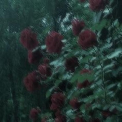 Ok im Not Cool - Single