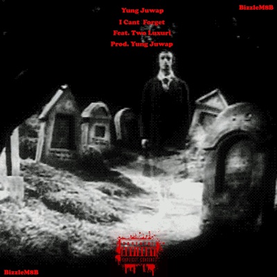 I Cant Forget (feat. Two Luxuri) - Single