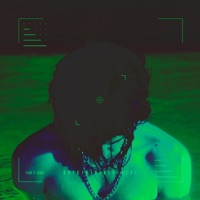 SBBNSY - Single - thrashboys & TÉPÚRPURA