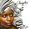 Zimblue - Chengetai