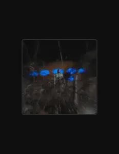 Listen to Diol, watch music videos, read bio, see tour dates & more!