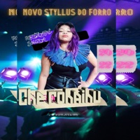 Che Rohaihu - Single - Rozelaine Souza