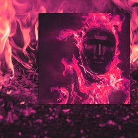 Pink Inferno BertieBanz