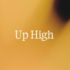 Up High (feat. C.Tappin) - Single