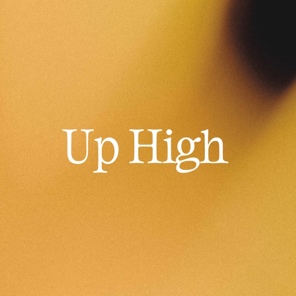 Up High (feat. C.Tappin) - Single