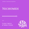 Nechomeh (feat. Yanky Green & Shira Choir) - Single