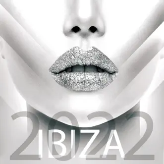 Ibiza 2022 by Various Artists album reviews, ratings, credits