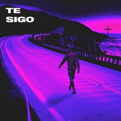 Te Sigo - Single