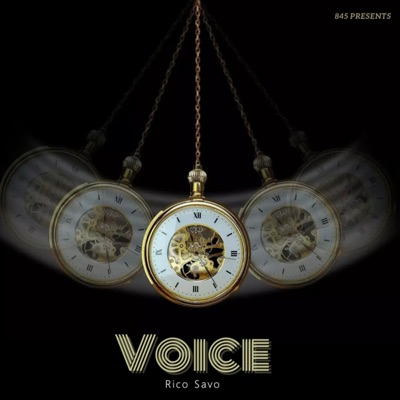 Voice - Single