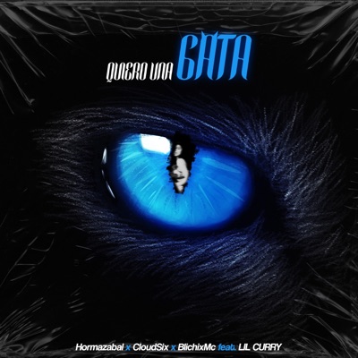 Quiero una gata (feat. Lil Curry) - Single