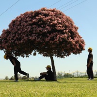 Liminal Space - EP - Xander Wavy