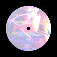 2019 - Single - Cesante