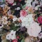 Orsa - eufonius lyrics
