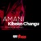 Kiboko Changu (feat. Radio & Weasel) - Amani lyrics