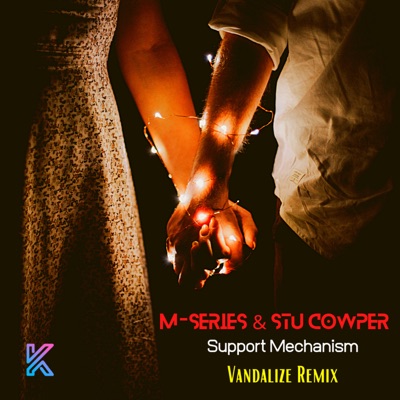 Support Mechanism (Vandalize Remix) - Single