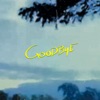 Goodbye - Single