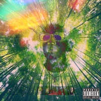 Back Flippin' (BASSMIX) - Single - Bassfngrz