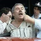 A Succulent Chinese Meal song art