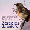 Zorzales de Antaño - Juan Darienzo - Tu Pañuelo