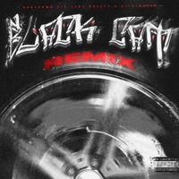 BLACK CAT (feat. Breesy & Ez Flockin) [Remix] - Single - Bustdown Vic