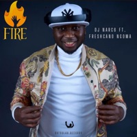 FIRE (feat. Freshcano Ngoma) - Single - DJ Narc6