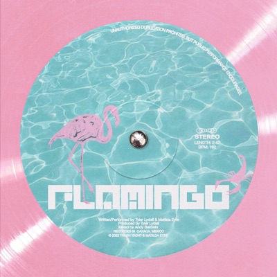 Flamingo - Single