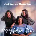 Just Wanna Thank You