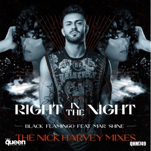 Right in the Night (The Nick Harvey Mixes) [feat. Mar Shine] - EP