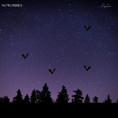 No Worries - Single