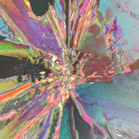 Duele - Single - Blu Boi & 「lotura」