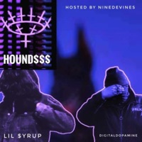 12 GAUGE (feat. Lil $yrup) - Single - Nine Devines