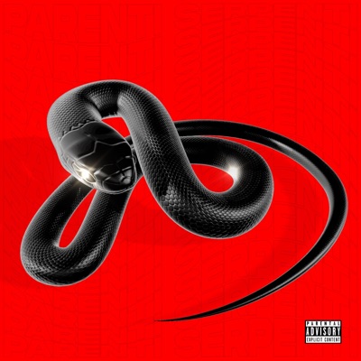 Parenti Serpenti - Single