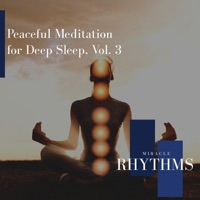 Album cover for Frank Ocean (Peaceful Sounds) by Abhi Naya
