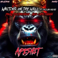 Writing On the Wall (feat. Mr. Wisdom & Skylar Raine) - Single - Dougie