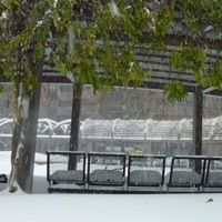 Collapse - Single - Tismo