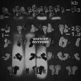 SE LYA VI (feat. Darb) Hisham