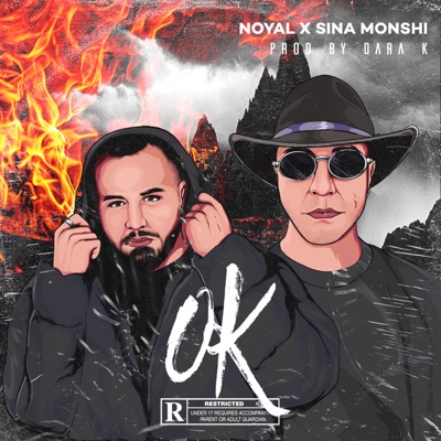 Ok (feat. Sina Monshi) - Single